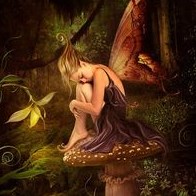 Roseanna Loosemore