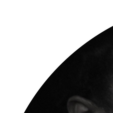 Kyle Spence - Community - ScreenSkills