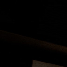 Gorilla Training Academy