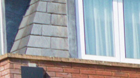 A group of Steadicam trainees standing outside with Steadicam kit