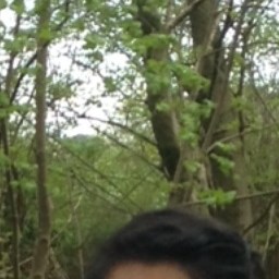 Tassa Deparis