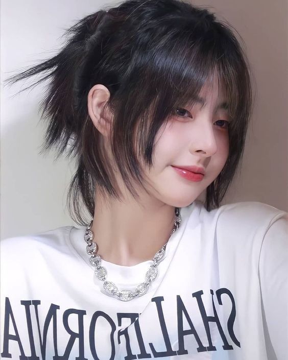 exploreronabudget com