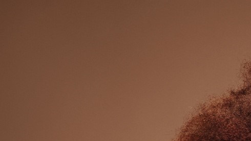 Striking head shot of a Black female model shot against a brown/bronze background. She wears her hair in a natural, textured style.