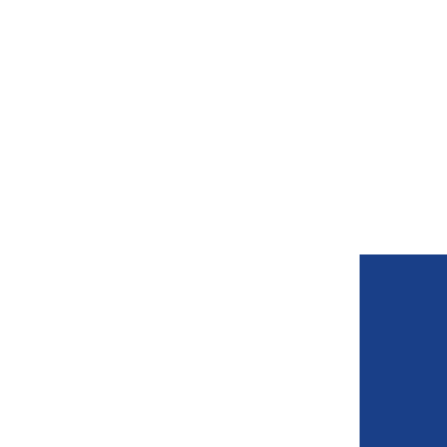 Bauer Academy